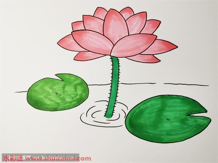 荷花怎么画 荷花简笔画漂亮卡通