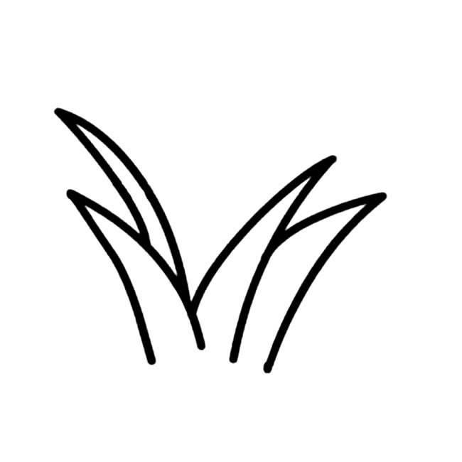 草简笔画 草丛简笔画