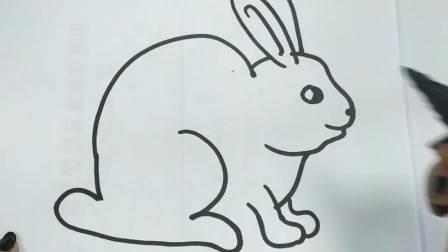 小白兔简笔画 小白兔简笔画彩色