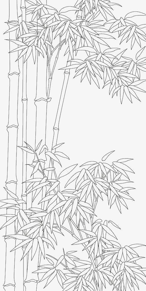竹子简笔画图片大全 大熊猫竹子简笔画图片大全