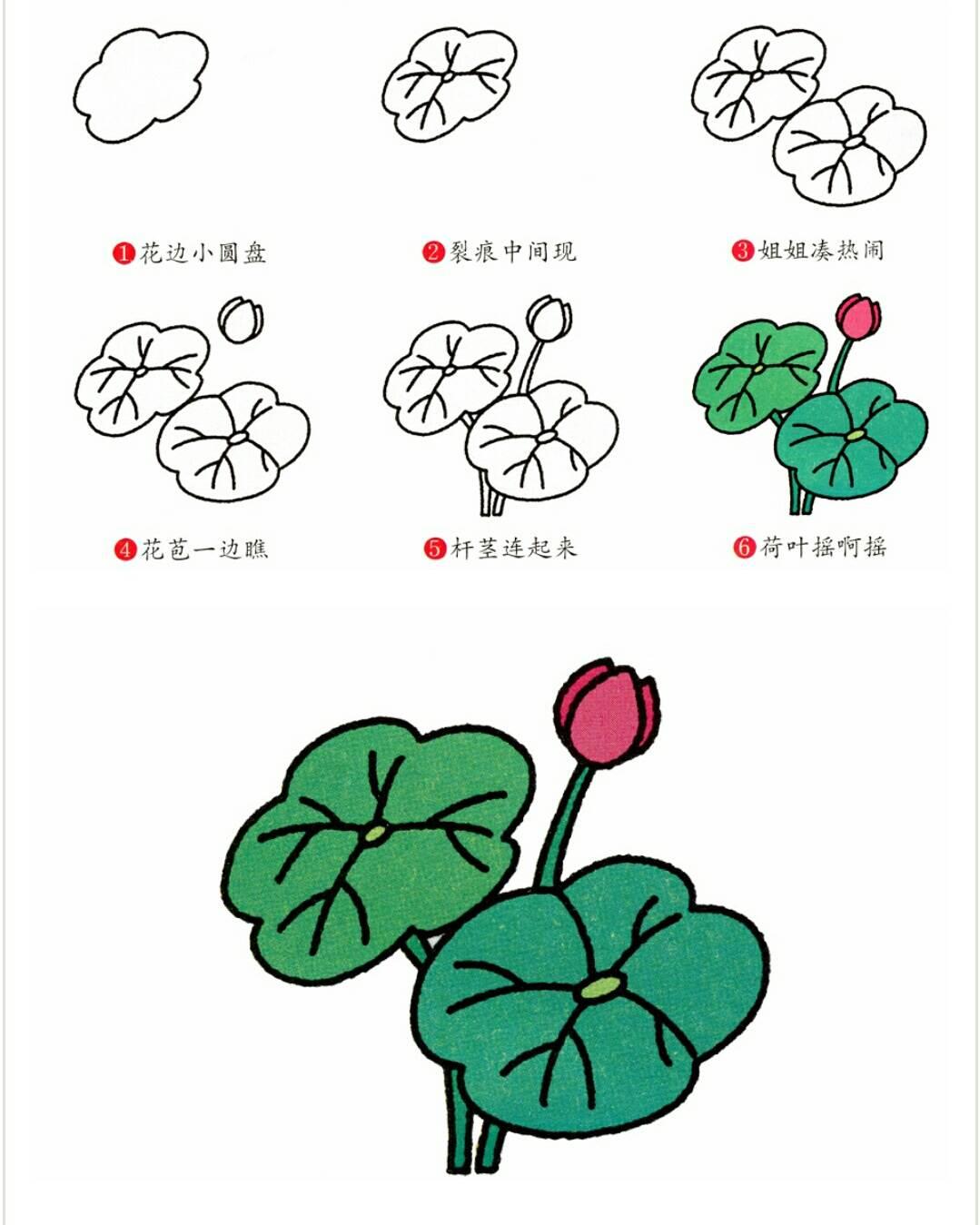植物简笔画图片大全 植物简笔画图片大全带颜色