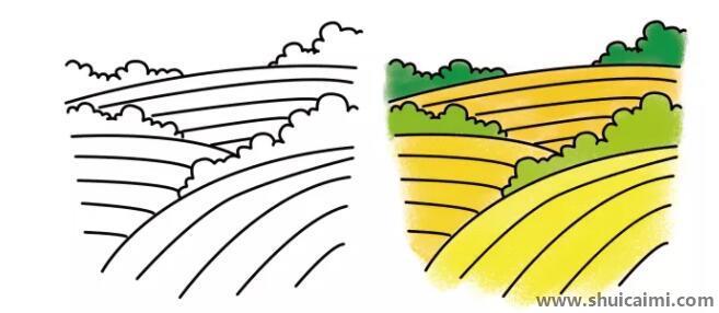 麦田儿童简笔画