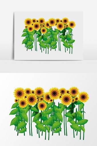 向日葵简笔画彩色 一片向日葵简笔画彩色