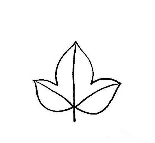 树叶简笔画 树叶简笔画简单又好看
