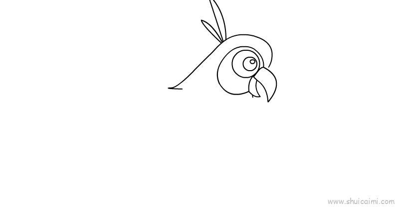 鹦鹉儿童画怎么画 鹦鹉简笔画简单又好看