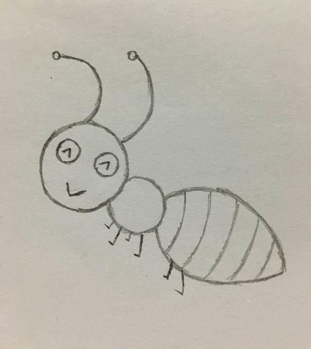 蚂蚁的简笔画图片大全大图 蚂蚁的简笔画图片大全大图可爱