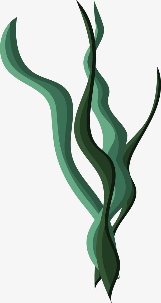 海草简笔画 海草简笔画简单又漂亮