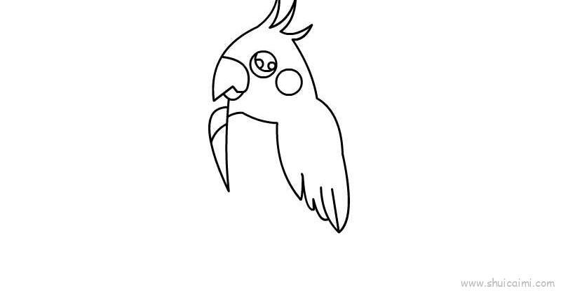 鹦鹉儿童画怎么画 鹦鹉简笔画图片大全