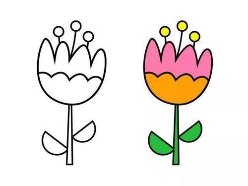 画花简笔画 如何画花简笔画