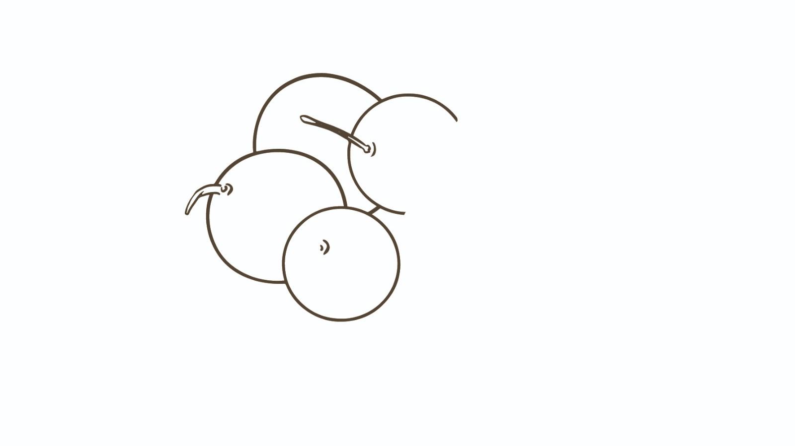 桂圆简笔画怎么画 桂圆简笔画图片