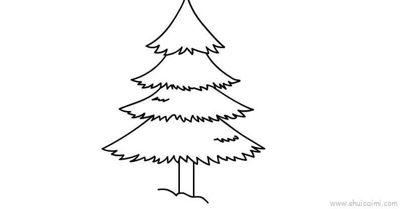 雪松儿童画怎么画 雪松简笔画图片大全