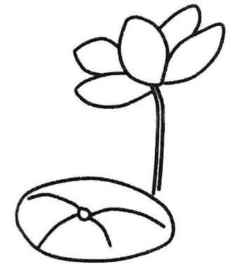 荷花简笔画 荷花简笔画图片