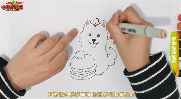 萨摩耶怎么画 萨摩耶简笔画图片大全带颜色