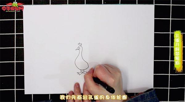 孔雀开屏怎么画 孔雀开屏简笔画简单又漂亮彩色