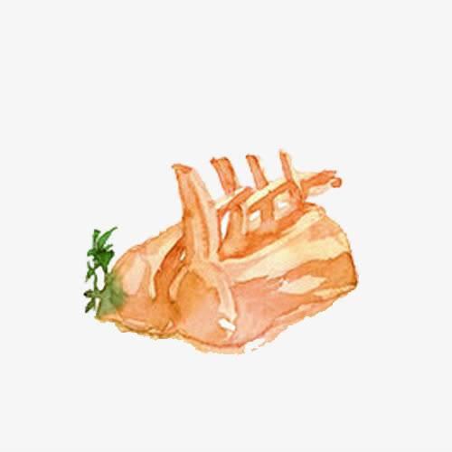 排骨简笔画 排骨简笔画图片彩色