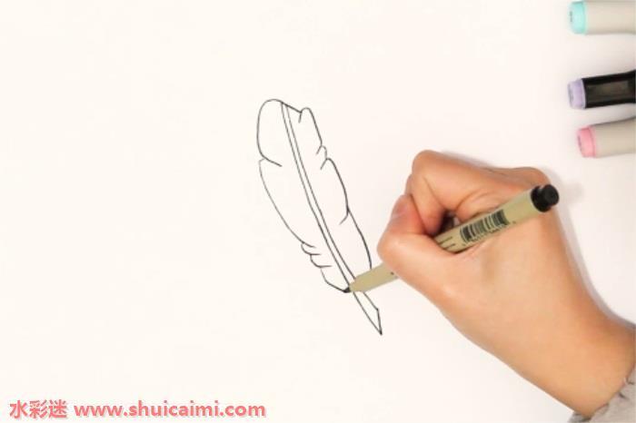 羽毛怎么画 羽毛简笔画图片大全带颜色