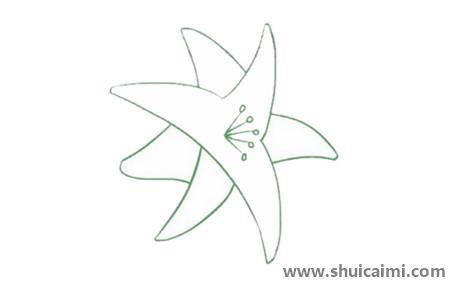 母亲节百合花儿童简笔画