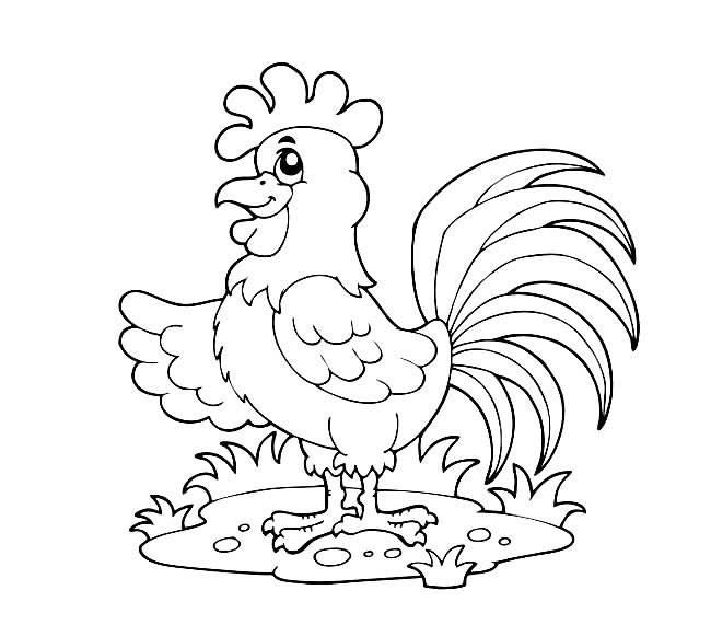 公鸡简笔画 公鸡简笔画怎么画