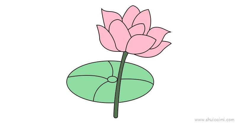 荷花儿童画怎么画 荷花简笔画好看