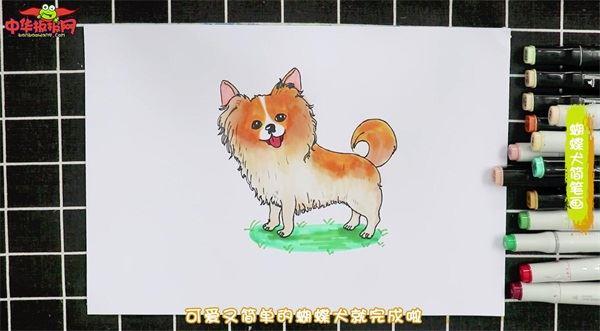 蝴蝶犬怎么画 蝴蝶犬简笔画图片带颜色