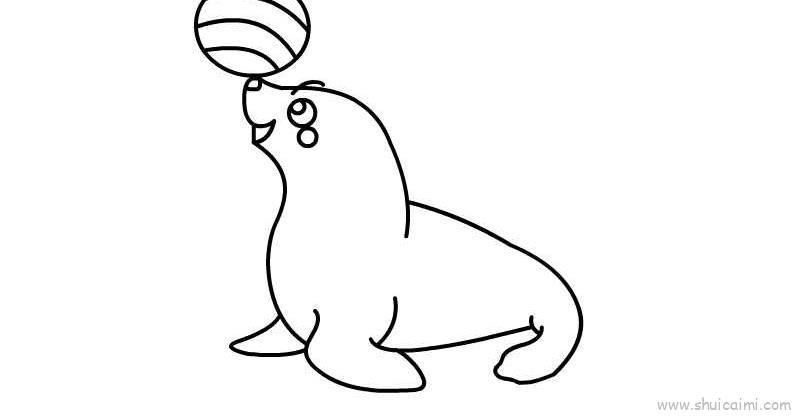 小海豹儿童画怎么画 小海豹简笔画步骤