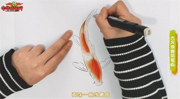 古风锦鲤怎么画 古风锦鲤简笔画画法