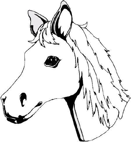 简笔画马 简笔画马头