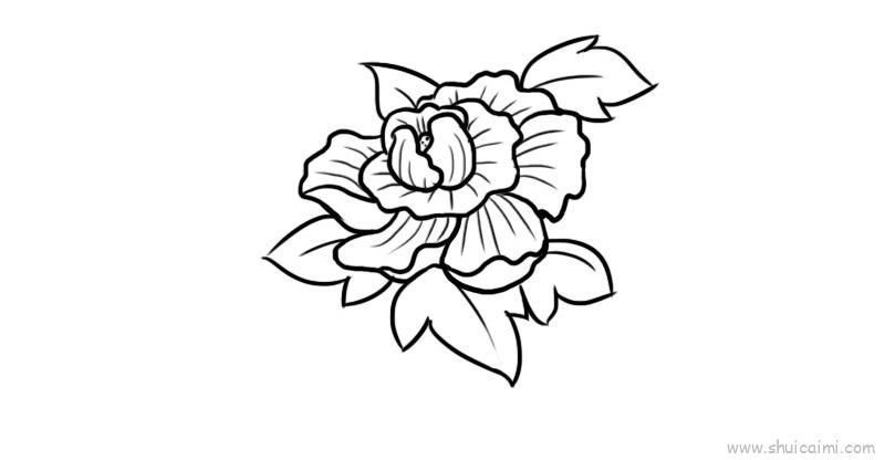 芙蓉花儿童画怎么画 芙蓉花简笔画简单又好看