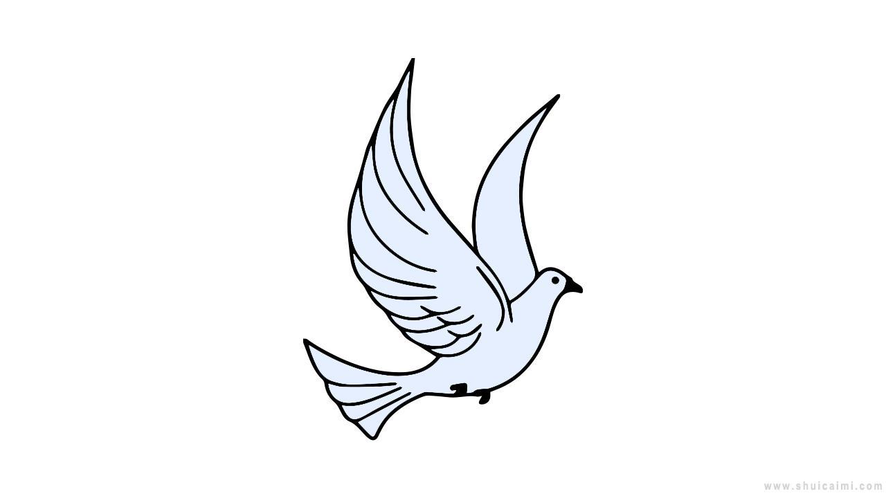 飞鸽简笔画怎么画 飞鸽简笔画好看