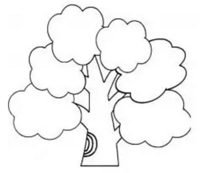 小树苗简笔画图片大全 小树苗简笔画图片大全彩色