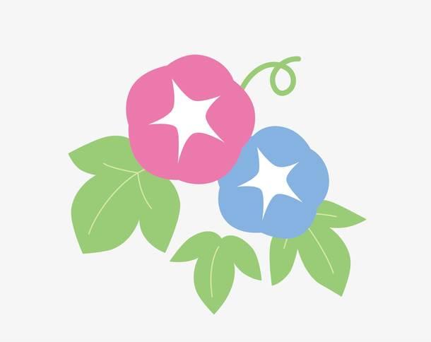 喇叭花简笔画图片大全 喇叭花简笔画图片大全彩色