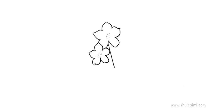 烟草花儿童画怎么画 烟草花简笔画步骤