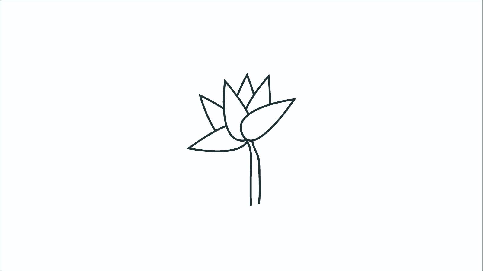 莲花的简笔画怎么画 莲花简笔画好看