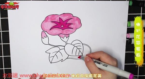 喇叭花怎么画 喇叭花简笔画图片带颜色