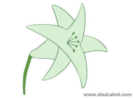 母亲节百合花儿童简笔画