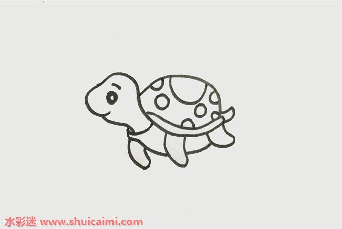 海龟怎么画 海龟简笔画漂亮彩色