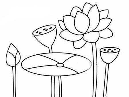 莲花简笔画 莲花简笔画图片大全大图