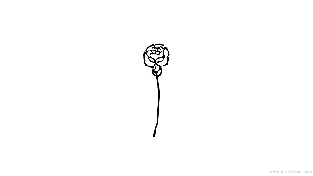 一束康乃馨简笔画怎么画 一束康乃馨简笔画顺序