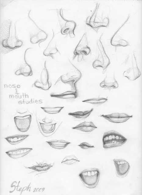 鼻子 简笔画 鼻子简笔画彩色