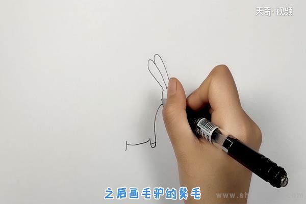 毛驴简笔画怎么画 毛驴简笔画步骤