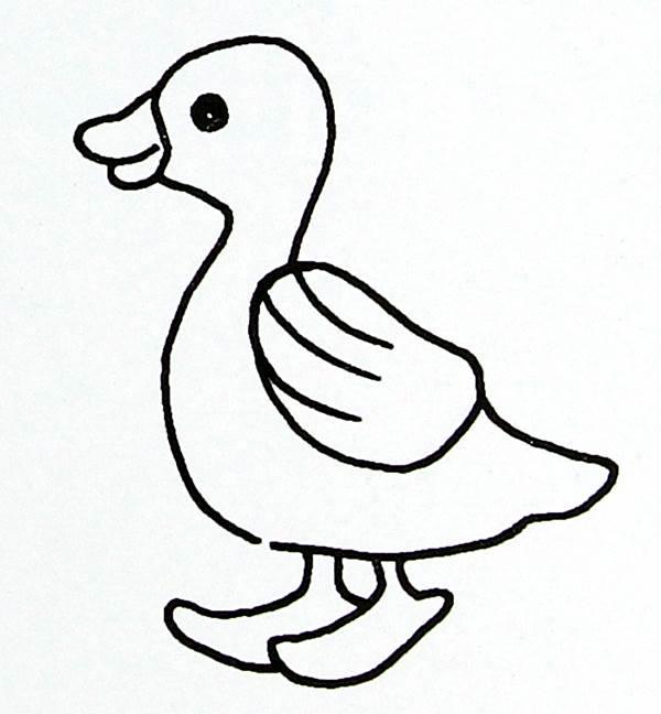 画简笔画 画简笔画小动物