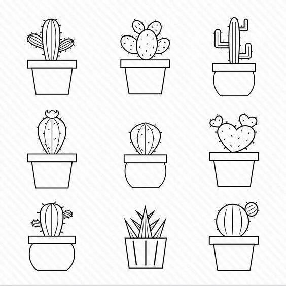 盆栽简笔画 盆栽简笔画图片带颜色