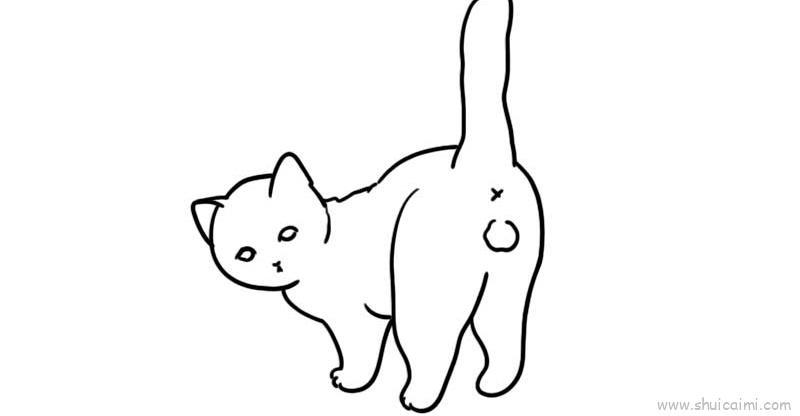 小公猫儿童画怎么画 小公猫简笔画步骤