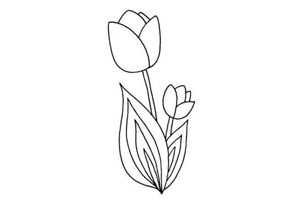 郁金香简笔画 郁金香简笔画图片