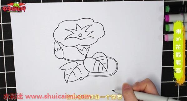 喇叭花怎么画 喇叭花简笔画图片带颜色