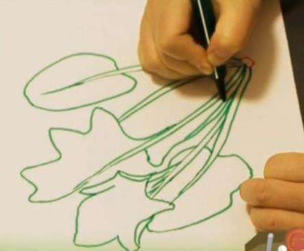 菠菜简笔画 菠菜简笔画图片带颜色