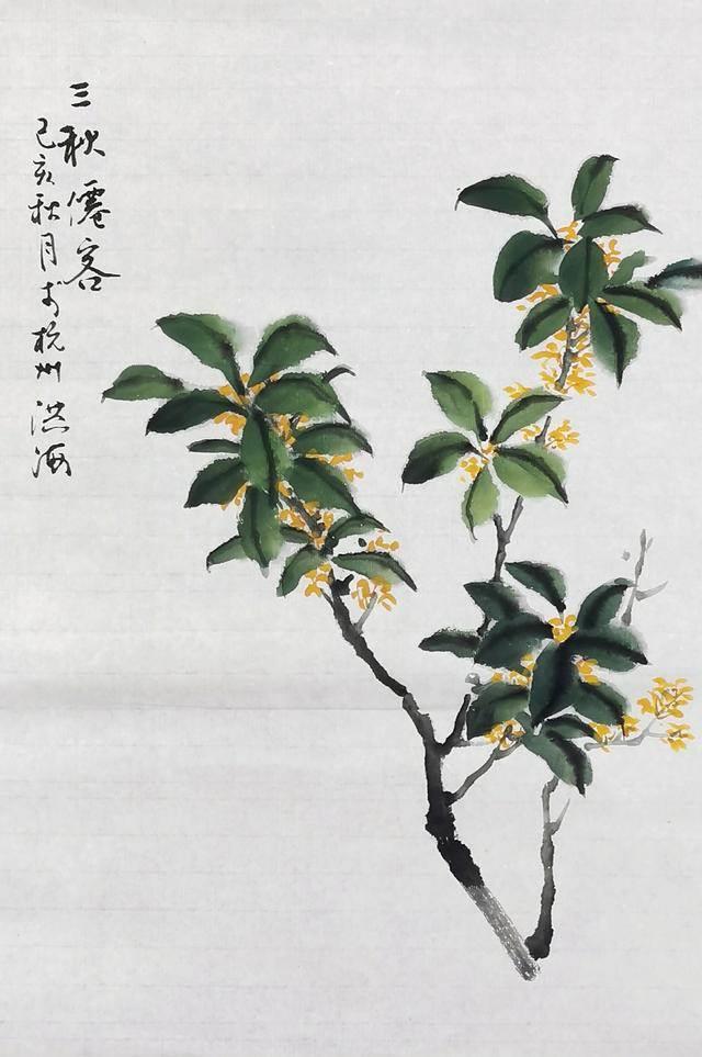 桂花树 简笔画 桂花树简笔画彩色