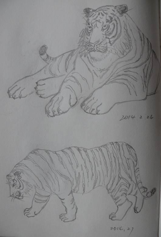 老虎图片简笔画 手绘老虎图片简笔画