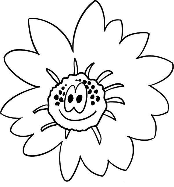 灿烂的雏菊简笔画怎么画 灿烂的雏菊简笔画图片