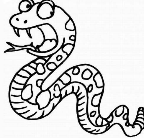 简笔画蛇 简笔画蛇图片